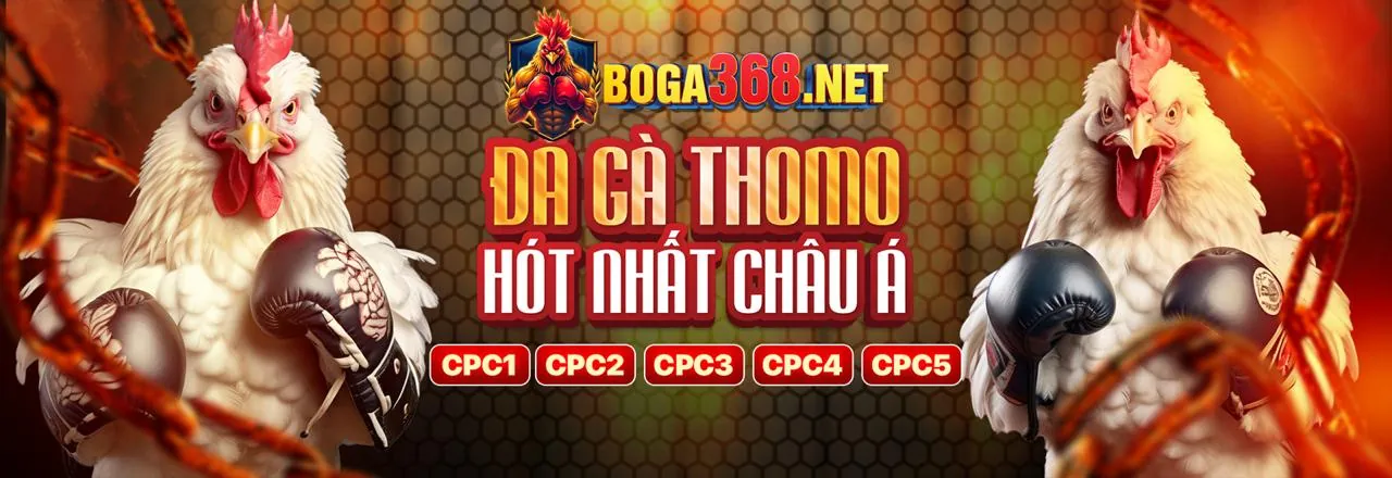 Bàn Baccarat trực tuyến 888to55 với người chia bài thật