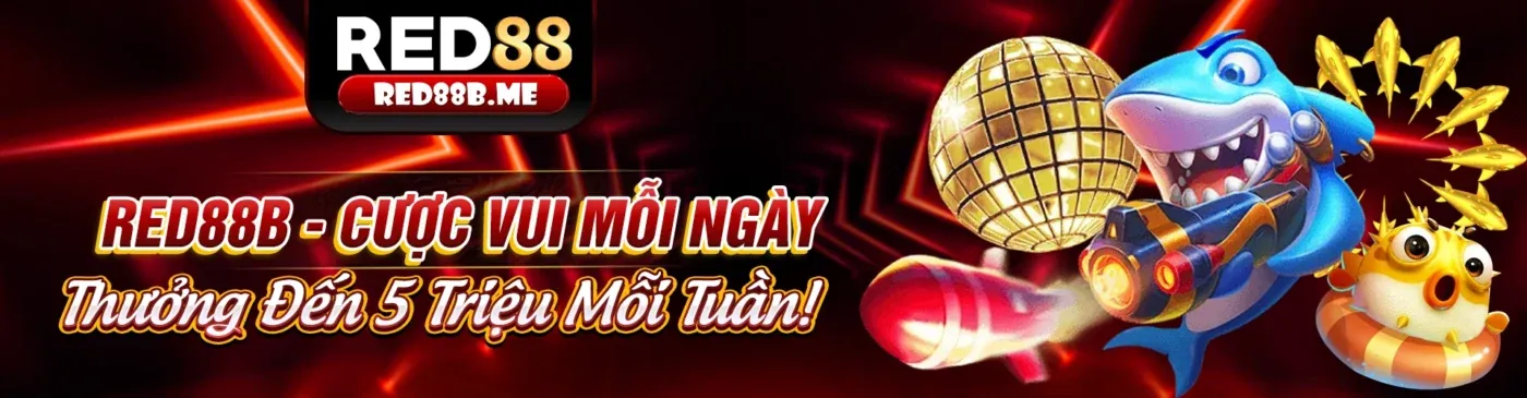 Dịch vụ hỗ trợ khách hàng chuyên nghiệp của 888to55